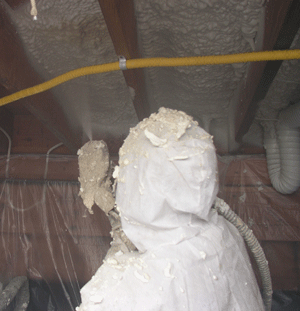  GA crawl space insulation
